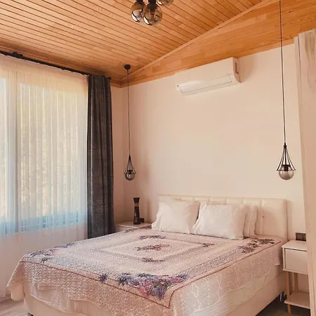 Black Cat Villa's Villa Kemer