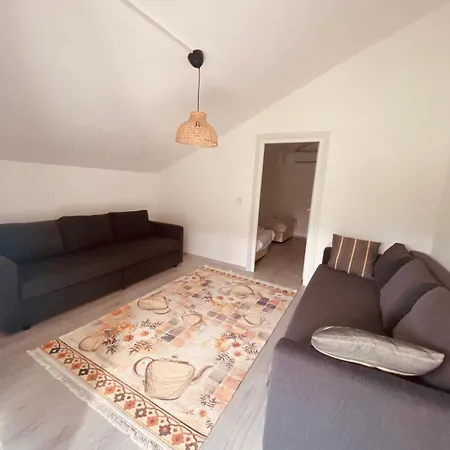 Black Cat Villa's * 凯梅尔