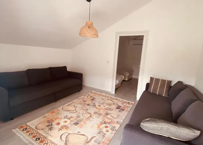 Black Cat Villa's * 凯梅尔