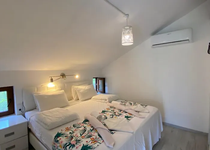 Вилла Black Cat Villa's *